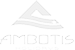 Логотип Ambotis